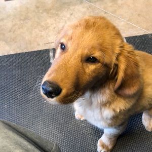 Meet your Posher, Trent